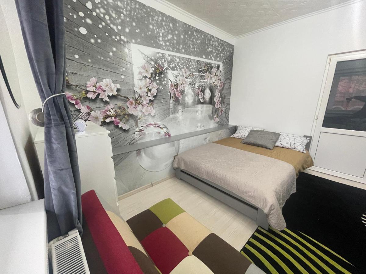 Central Colors Studio Petroşani Екстериор снимка